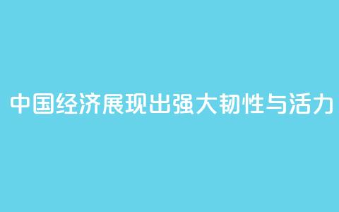“中国经济展现出强大韧性与活力”  第1张