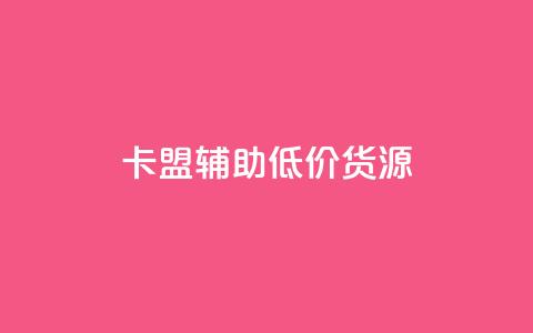 卡盟辅助低价货源 - 卡盟低价辅助工具采购指南~  第1张