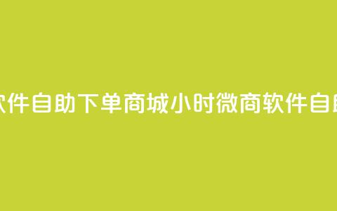 24小时微商软件自助下单商城 → 24小时微商软件自助购物平台  第1张