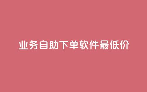 ks业务自助下单软件最低价 - ks业务自助下单软件超值优惠限时抢购~  第1张