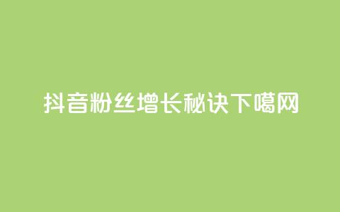 抖音粉丝增长秘诀 第1张 抖音粉丝增长秘诀 第1张
