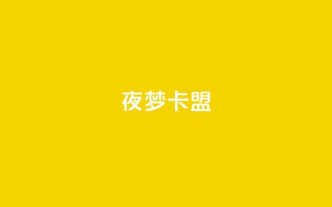 夜梦卡盟 - 24小时卡盟丝  第1张