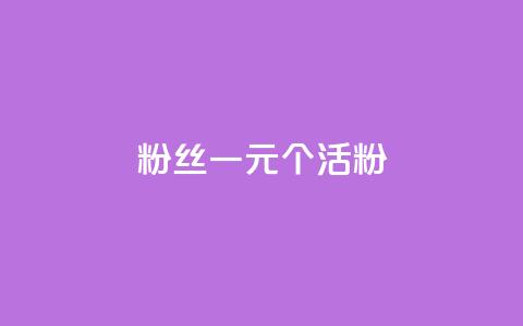 粉丝一元1000个活粉 - 获取1000个活跃粉丝只需1元。  第1张
