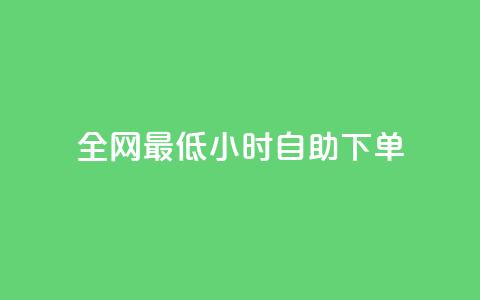 全网最低24小时自助下单 - 全网24小时最低价格快速下单服务！  第1张