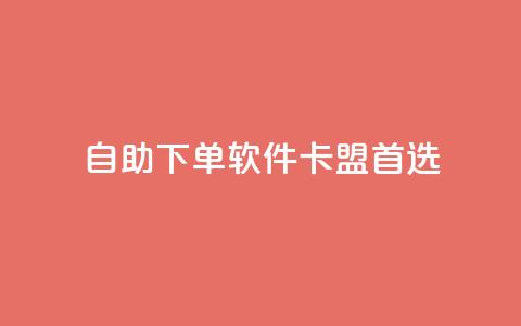 自助下单软件——卡盟首选  第1张