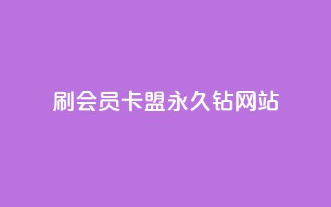 刷会员卡盟永久钻网站 - 永久钻刷会员卡盟网站：畅享会员特权，提高网站排名~  第1张