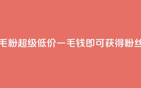 低价Ks一毛1000粉(超级低价	，一毛钱即可获得1000粉丝)  第1张