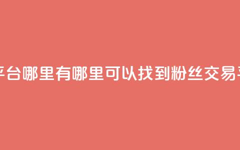 粉丝交易平台哪里有 - 哪里可以找到粉丝交易平台？~  第1张