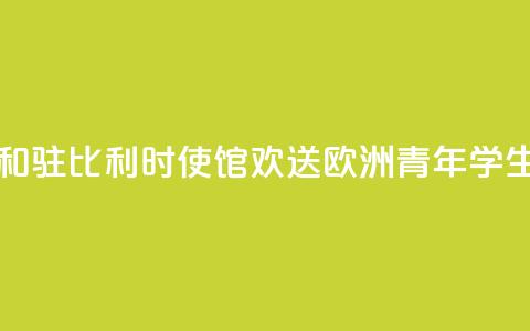 中国驻欧盟使团和驻比利时使馆“欢送”欧洲青年学生赴华留学  第1张