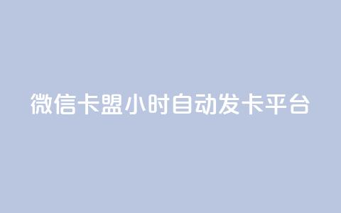 微信卡盟24小时自动发卡平台,云小店24小时下单平台 - 拼多多自动下单脚本 拼多多砍一刀代砍 第1张 微信卡盟24小时自动发卡平台,云小店24小时下单平台 - 拼多多自动下单脚本 拼多多砍一刀代砍 第1张