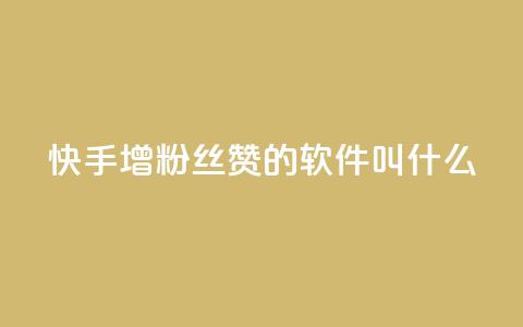 快手增粉丝赞的软件叫什么 - 快速提升快手粉丝和点赞量的推荐软件。  第1张