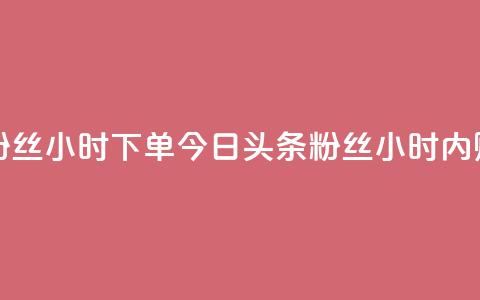 今日头条粉丝24小时下单(今日头条粉丝24小时内购买)  第1张