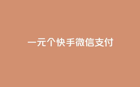 一元10个快手微信支付 - 快手点器怎样使用视频教程  第1张