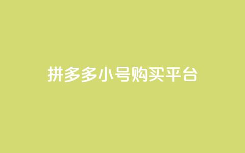 拼多多小号购买平台 - 彩虹正版授权查询下单 第1张 拼多多小号购买平台 - 彩虹正版授权查询下单 第1张