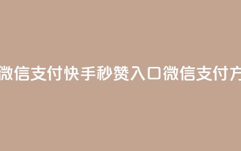 快手秒赞入口微信支付 - 快手秒赞入口微信支付方式详解。  第1张