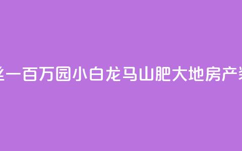 快手粉丝一百万0.01园小白龙马山肥大地房产装修网站,QQ红钻卡盟 - qq业务自助 子潇网络平台是合法吗  第1张