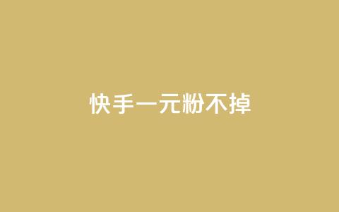 快手一元10000粉不掉 - 快手10000粉丝仅需1元，零掉粉保证。  第1张