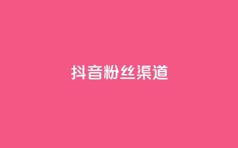 抖音粉丝渠道 - 提升抖音粉丝增长的方法。  第1张