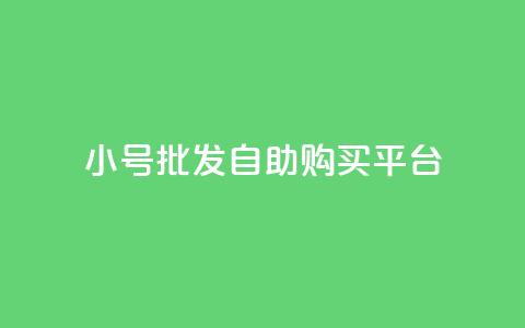 cf小号批发自助购买平台 - 购买CF小号的自助批发平台~  第1张