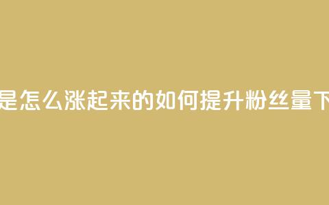 粉丝是怎么涨起来的 - 如何提升粉丝量~  第1张