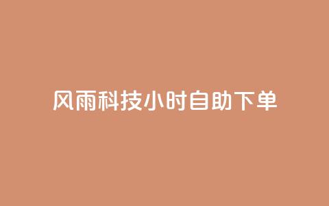 风雨科技24小时自助下单 - 风雨科技24小时自助服务订购！  第1张
