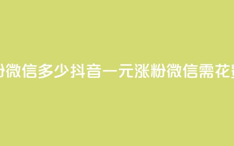 抖音一元涨粉1000微信多少 - 抖音一元涨粉1000微信需花费多少~  第1张