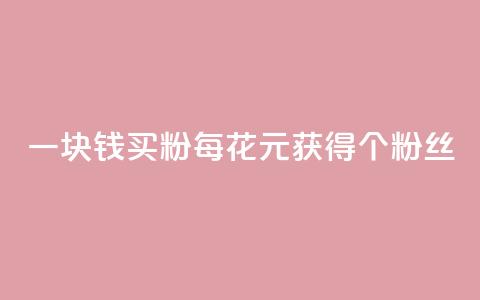 一块钱买1000粉(每花1元，获得1000个粉丝)  第1张
