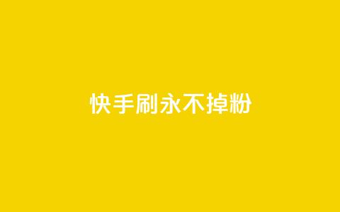 快手刷永不掉粉 - 快手评论区点赞下单  第1张