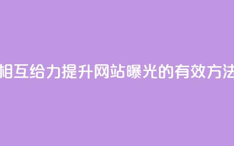 相互给力：提升网站曝光的有效方法  第1张