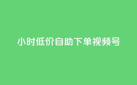 24小时低价自助下单视频号,b站播放量业务自助平台 - 抖音点赞加评论辅助工具 抖音真人粉丝价格  第1张
