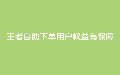 王者自助下单，用户权益有保障  第1张