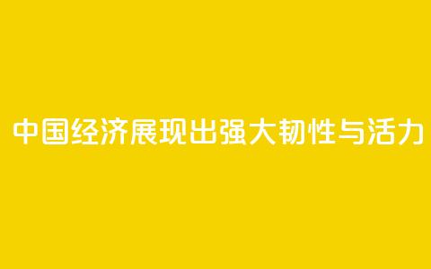 “中国经济展现出强大韧性与活力”  第1张