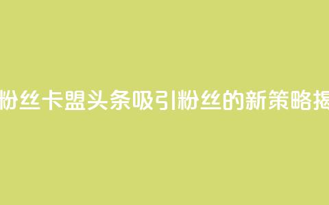 卡盟头条粉丝 - 卡盟头条吸引粉丝的新策略揭秘~  第1张
