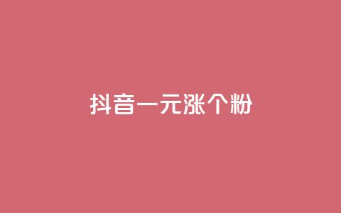 抖音一元涨1个粉 - 抖音粉丝一元增值的秘密揭晓! 第1张 抖音一元涨1个粉 - 抖音粉丝一元增值的秘密揭晓! 第1张