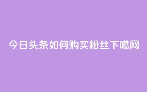 今日头条如何购买粉丝 第1张 今日头条如何购买粉丝 第1张