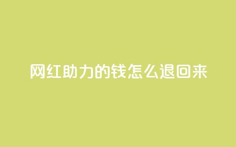 网红助力的钱怎么退回来 - 网红代言退款规则解析。  第1张
