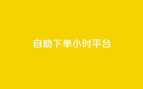 自助下单24小时平台 - 全天候自助下单平台，24小时无缝服务体验~  第1张