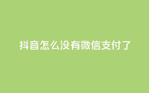 抖音怎么没有微信支付了 - 抖音为何取消微信支付功能的原因分析! 第1张 抖音怎么没有微信支付了 - 抖音为何取消微信支付功能的原因分析! 第1张