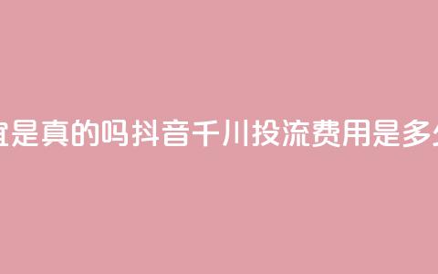 快手丝便宜是真的吗 - 抖音千川投流费用是多少钱 第1张 快手丝便宜是真的吗 - 抖音千川投流费用是多少钱 第1张