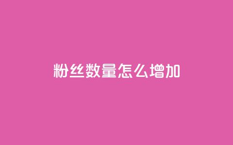 粉丝数量怎么增加 - 如何有效提升粉丝数量的方法与技巧！  第1张