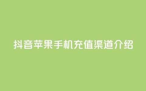 抖音苹果手机充值渠道介绍 第1张 抖音苹果手机充值渠道介绍 第1张