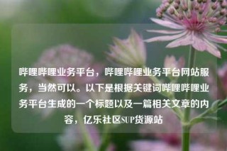 哔哩哔哩业务平台，哔哩哔哩业务平台网站服务，当然可以。以下是根据关键词哔哩哔哩业务平台生成的一个标题以及一篇相关文章的内容，亿乐社区SUP货源站