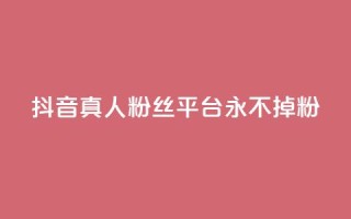 抖音真人粉丝平台 永不掉粉,暗区突围买挂网站大全 - 抖音一天关注100人会封号吗 - 快手涨热度平台