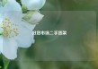 旧货市场二手货架