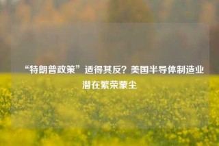 “特朗普政策”适得其反？美国半导体制造业潜在繁荣蒙尘