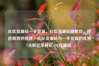 社区货源站一手货源，社区货源站超低价，打造高效供应链，社区货源站与一手货源的优势分析亿乐社区SUP货源站