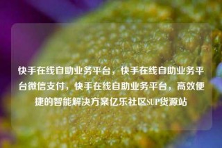 快手在线自助业务平台，快手在线自助业务平台微信支付，快手在线自助业务平台，高效便捷的智能解决方案亿乐社区SUP货源站