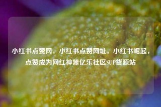 小红书点赞网，小红书点赞网址，小红书崛起，点赞成为网红神器亿乐社区SUP货源站
