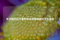 世卫组织总干事呼吁全球团结应对卫生挑战