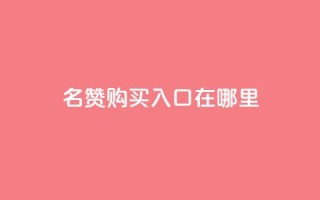 qq名赞购买入口在哪里,快手下单平台全网最低价 - 自助下单拼多多 - 快手免费业务全网最低
